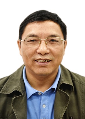 陈卫平